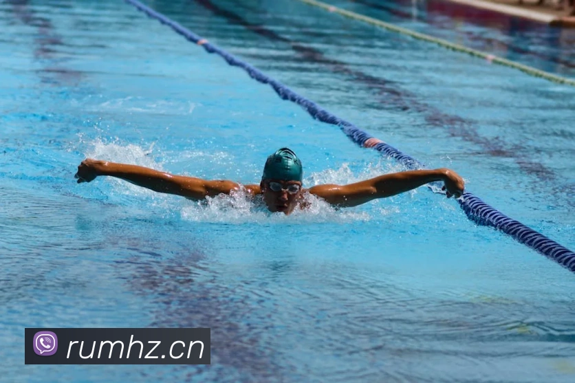 beat365官方网站入口平台生态图