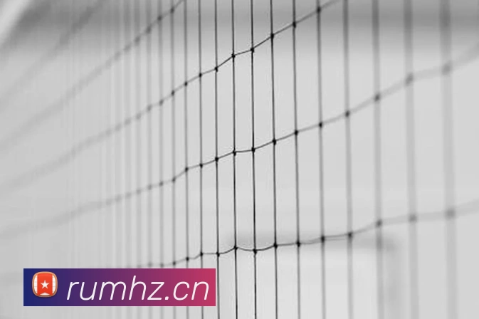 beat365官方网站入口APP 封面图